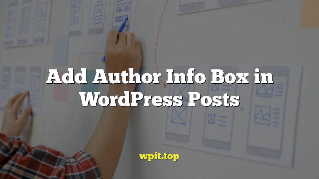 Add Author Info Box in WordPress Posts